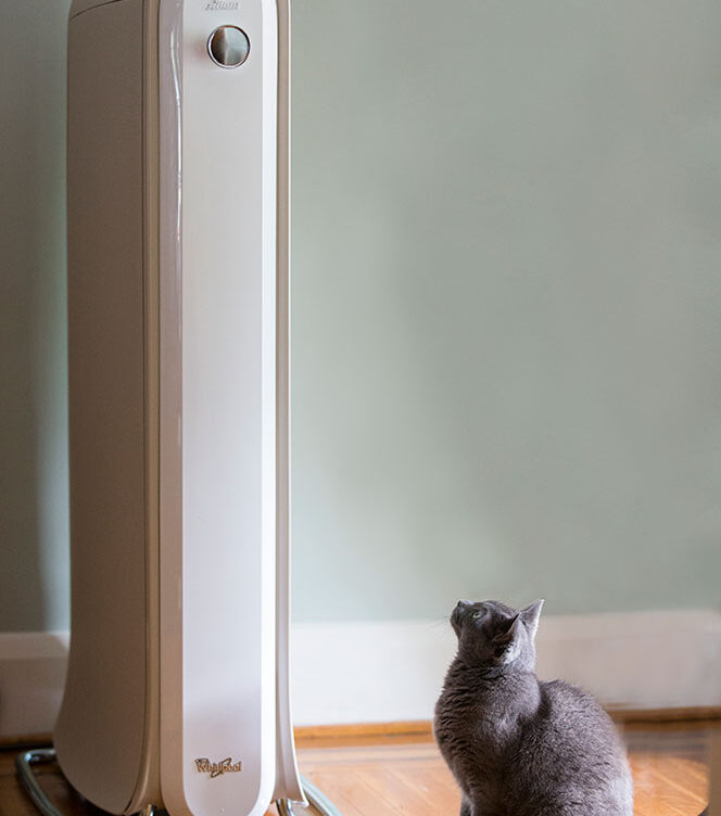 Swash - He Spoke Style