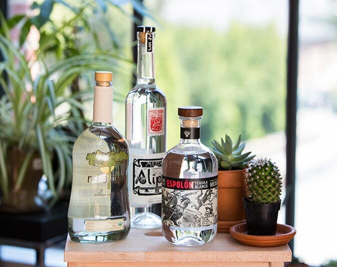 tequila mezcal cachaca