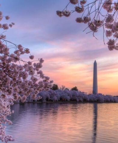 things to do washington dc